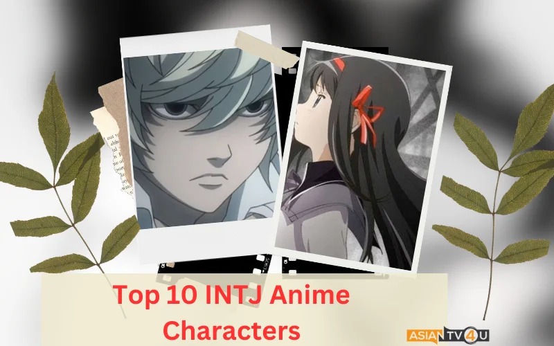 Anime Characters Who Are Intj
