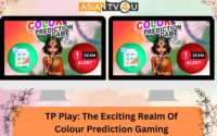TP Play: The Exciting Realm Of Colour Prediction Gaming