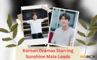 Korean Dramas Starring Sunshine Male Leads